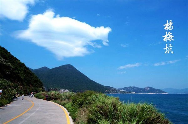 楊梅坑